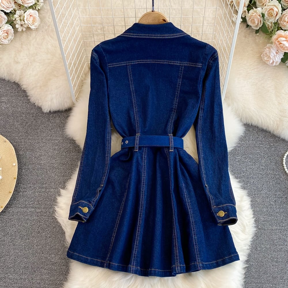 Sylvie Denim Dress